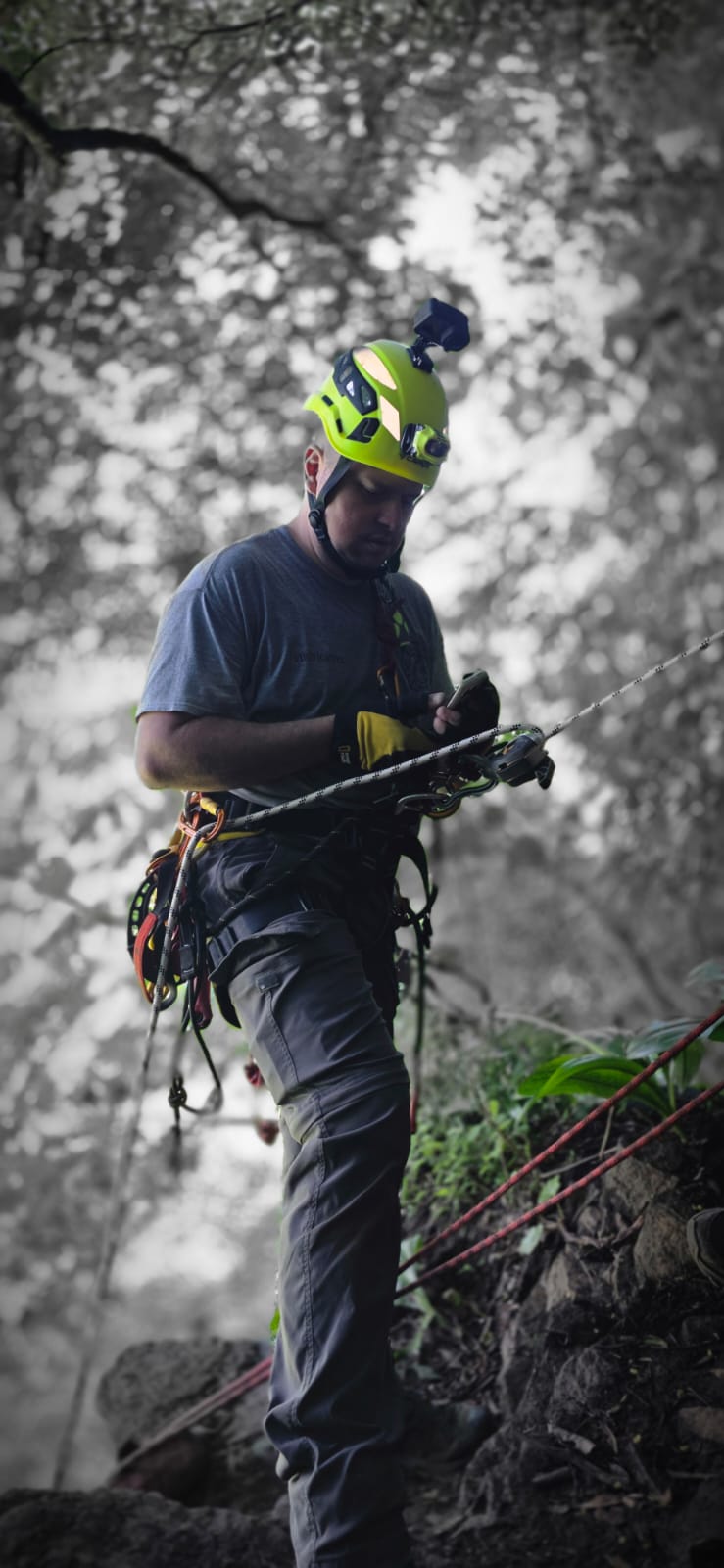 Bomberos 31
