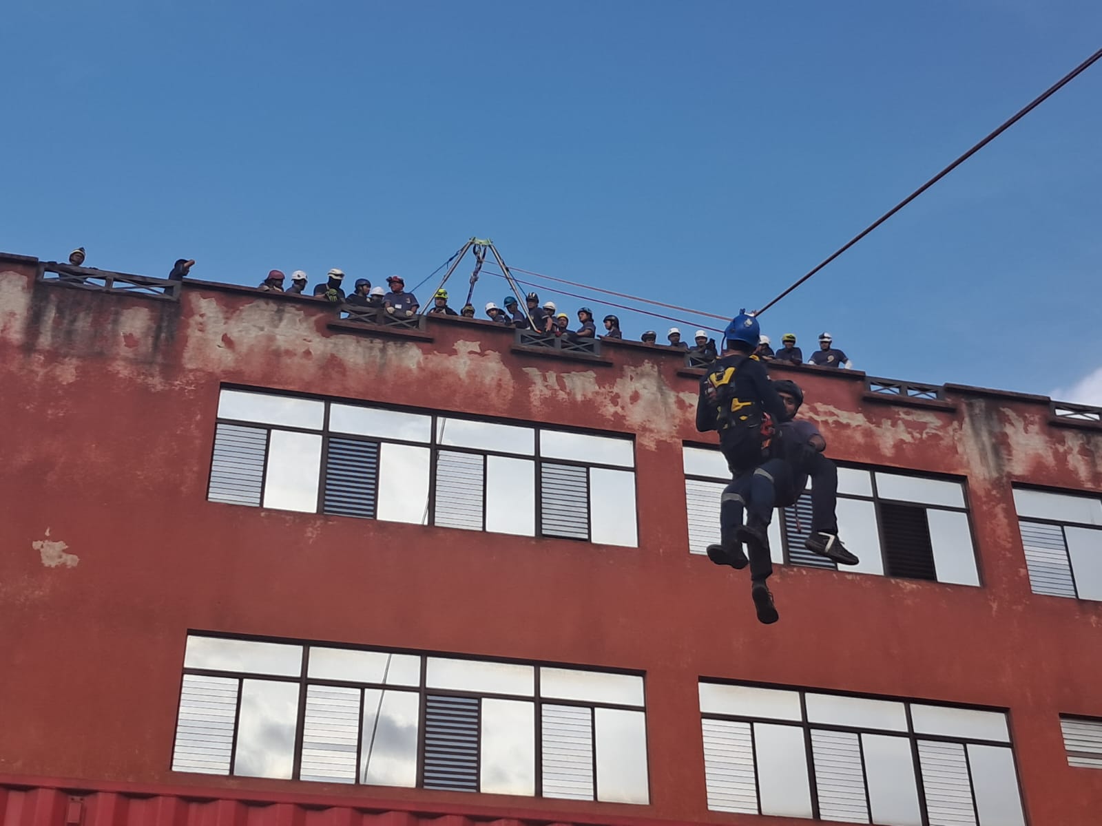 Bomberos 44
